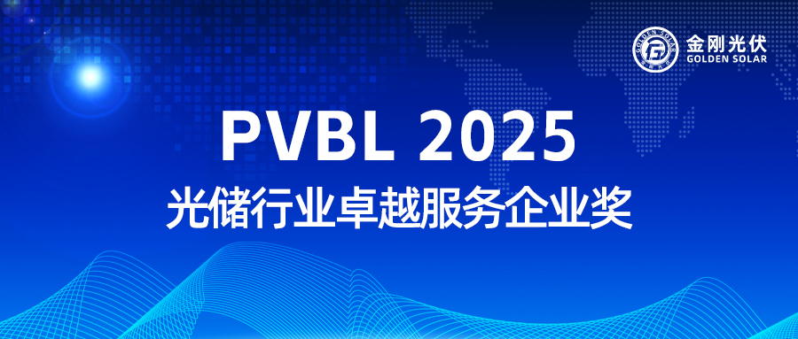 ޹˾ʵջ PVBL2025 ⴢҵ׿Խҵ